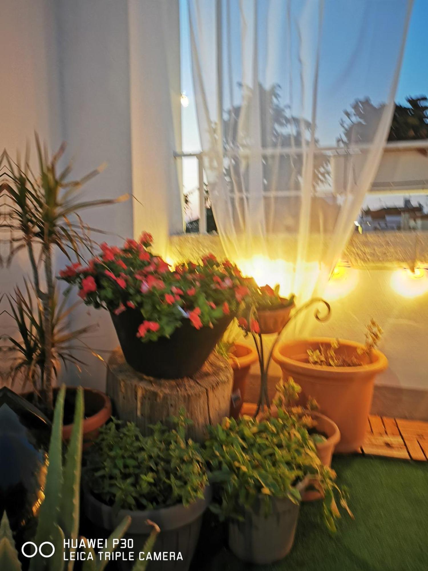 Sfumature Di Puglia Διαμέρισμα Turi Εξωτερικό φωτογραφία